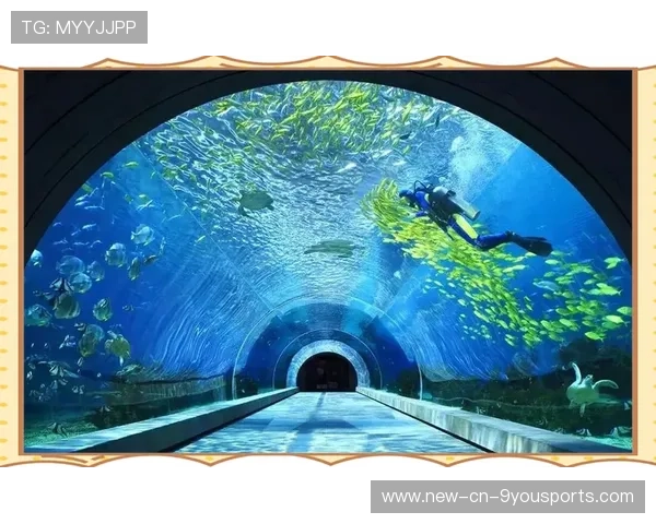 特色海域潜水乐园，探索海底奇观的神秘之门，潜水海底世界