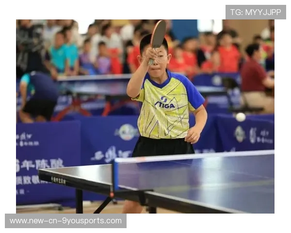 Chinese Taipei乒乓战术：精准攻击与变化多端的技术，中国台北乒乓