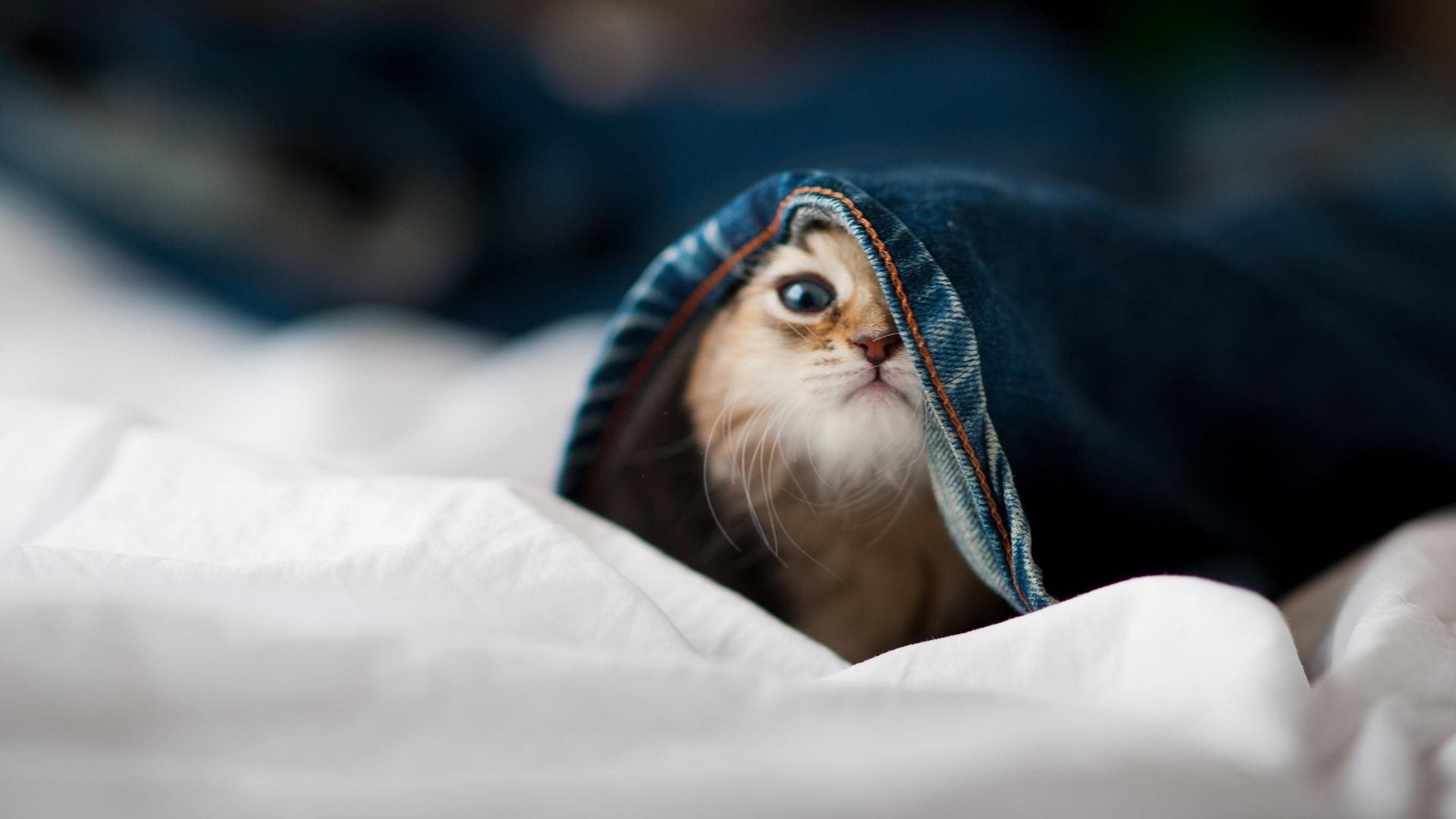 九游官网入口活动-全国青少年滑板训练营首次设置双板项目，滑板训练班