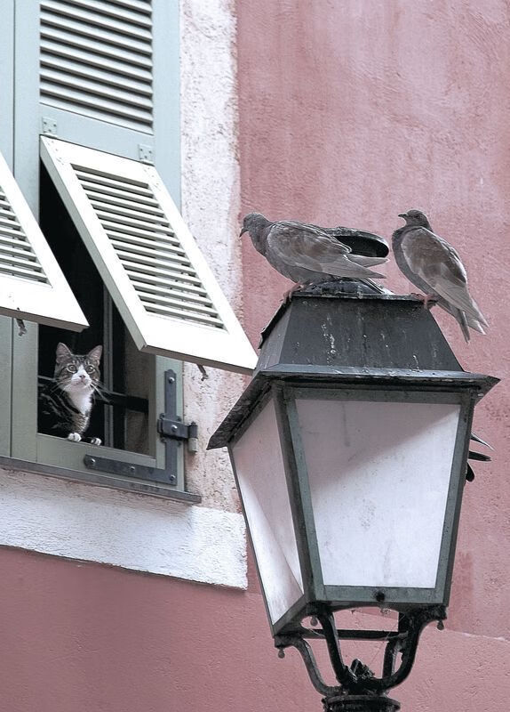 九游娱乐网站-篮球场馆资源调配是否合理高效，篮球场馆的经营与管理