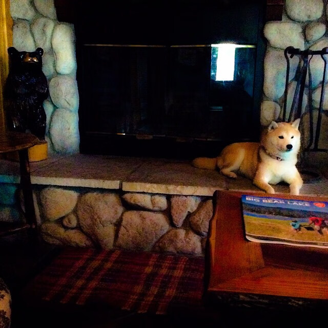 中国男篮明确备战周期制定长期发展规划，男篮 规划