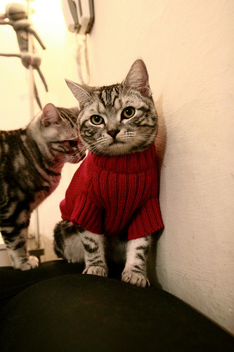 吉尔吉斯斯坦男篮在国际友谊赛中崭露头角，期待突破