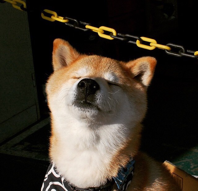 塞维利亚延续佳绩，争夺西甲欧战资格