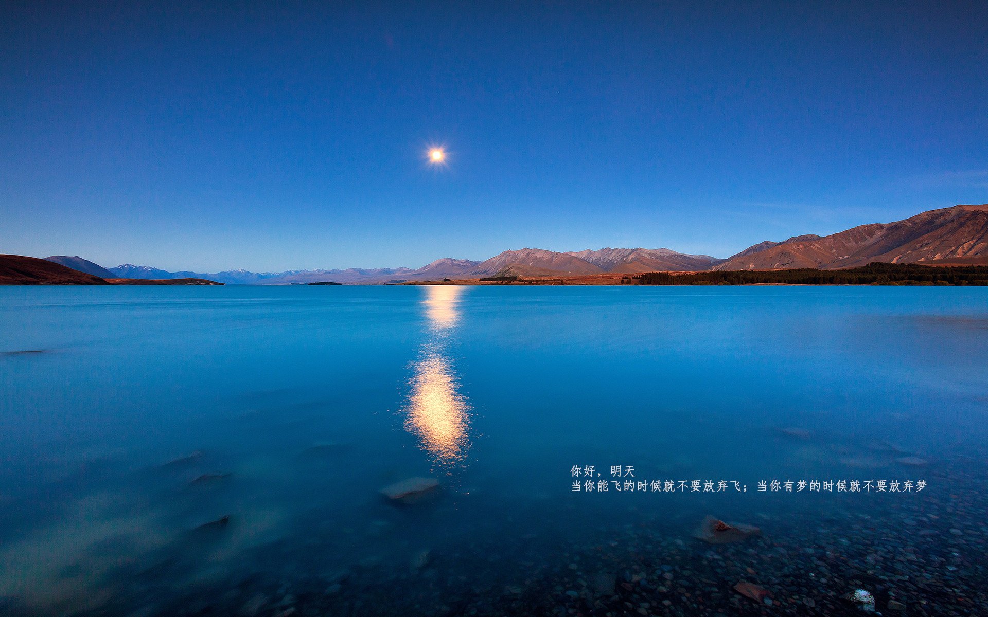 塞维利亚延续佳绩，争夺西甲欧战资格