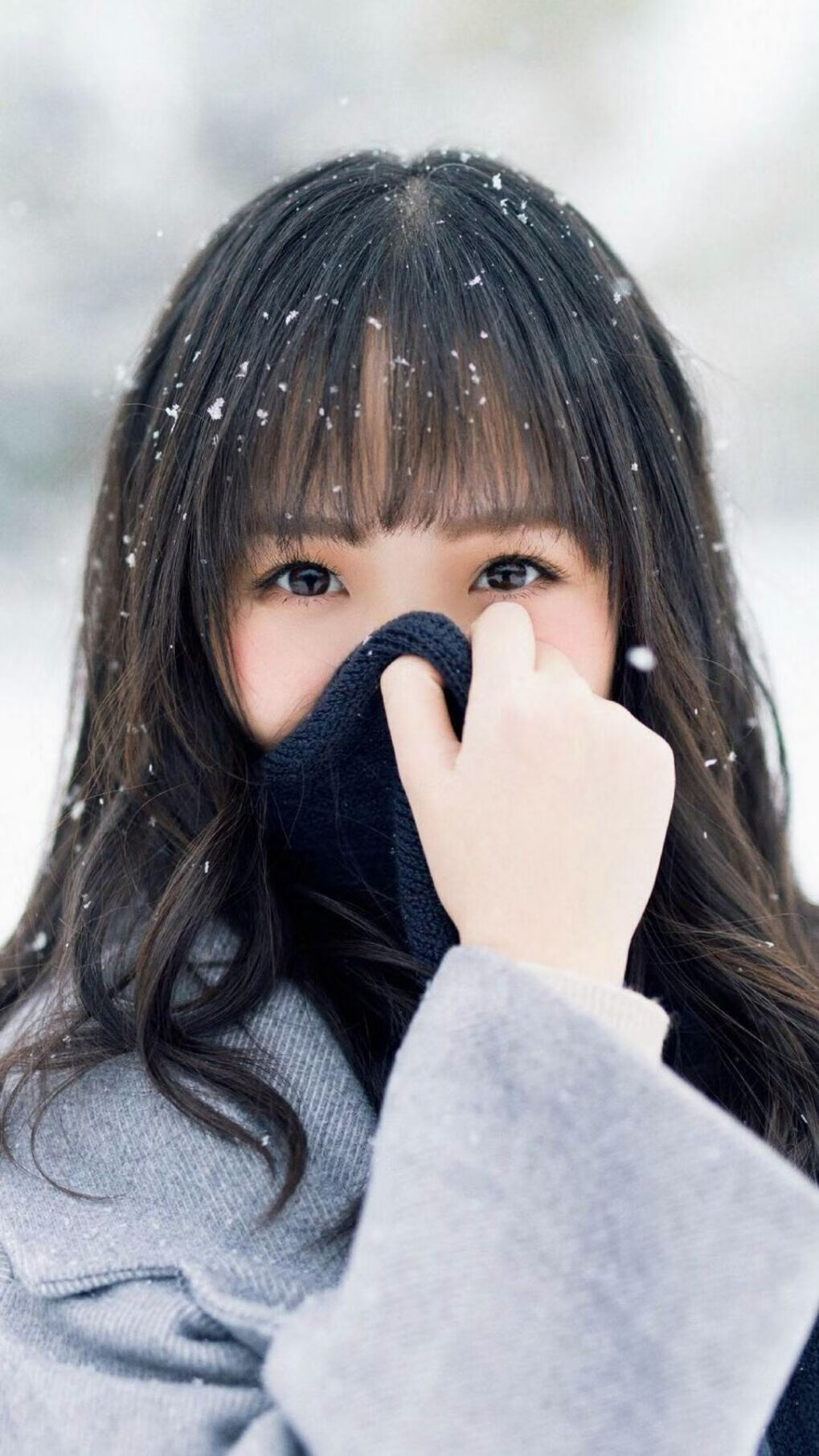 德甲持续火爆：攻守转换精彩不断！，德甲收官战