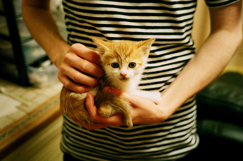 意甲超级反击：瞬间突破，精彩不断！，意甲经典比赛如c77 tv