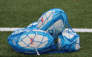 九游官网入口充值-法国橄榄球赛事的票房和赞助收入创历史新高，法国橄榄球国家队