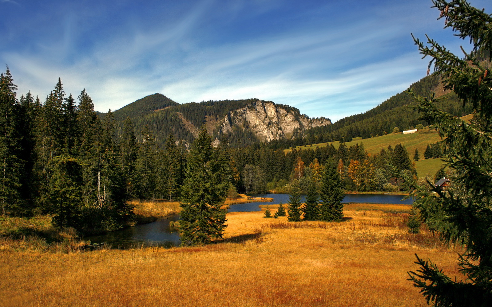 九游网页官网-法甲联赛的多元化发展战略，法甲联赛的特点