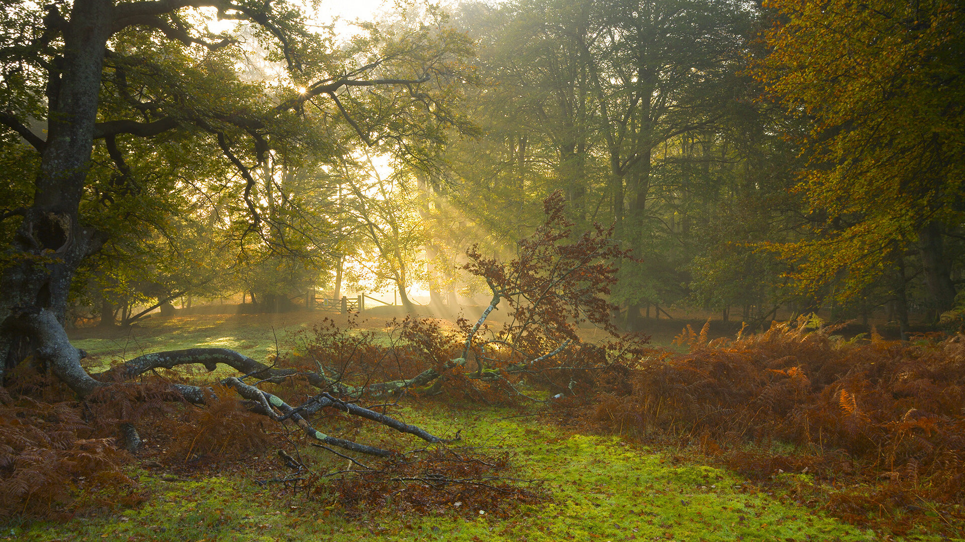 九游娱乐登录-滑雪装备耐寒性检测结果引发关注，滑雪服抗冻吗
